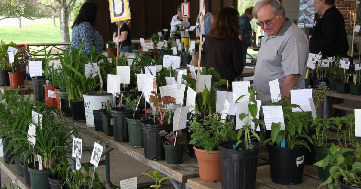 Meridian Garden Club Spring Plant Sale
