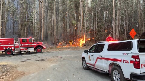 Cal Fire crews responding to the Anzar fire near Aromas, CA in this file photo.
