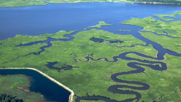 Chesapeake Bay