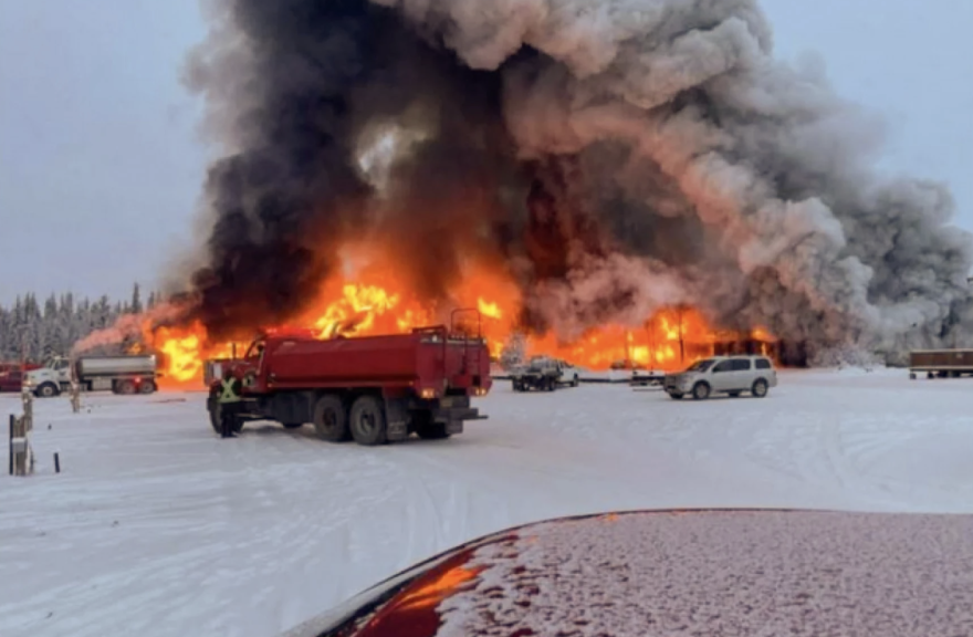 Fish hanging from a wooden structure to dry