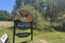 The Cascades Raptor Center in Eugene, pictured on July 17, 2026.