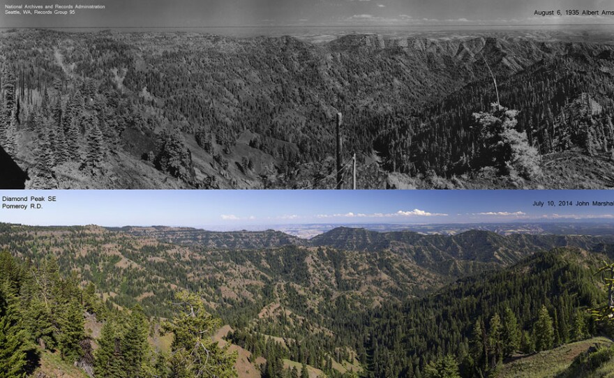 101314TB_Diamond_Peak_SE_Comparison_0.jpg