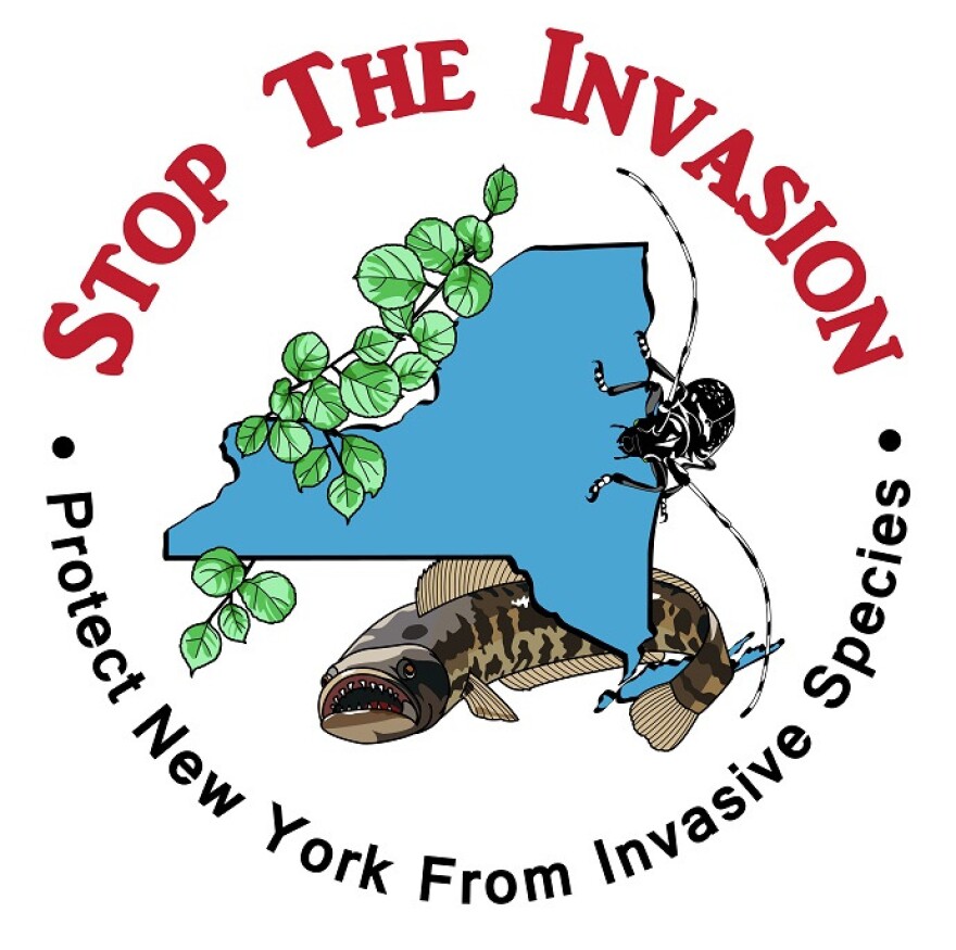 Stop the Invasion logo