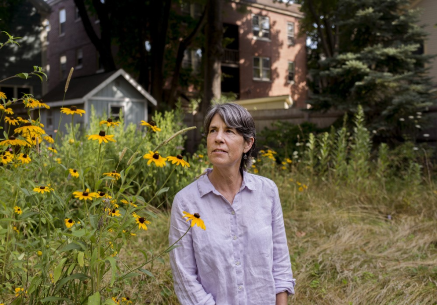 Heather McCargo of the Wild Seed Project, image courtesy of Wild Seed Project, from the Portland Press Herald.