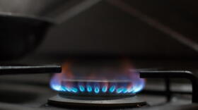 Cities in states like California, Ohio, and Massachusetts have banned gas stoves and other natural gas equipment in new buildings because of climate concerns.