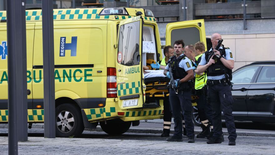 Olafur Steinar Gestsson/Ritzau Scanpix via AP