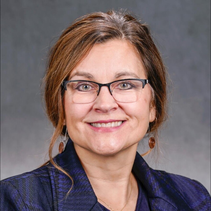 Natalie Zeleznikar is running for state House District 3B in the 2026 election.