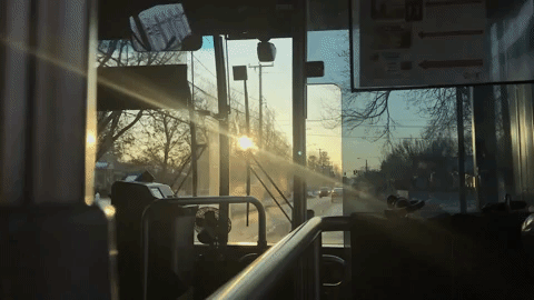 A moving image of a bus window driving into sunlight.