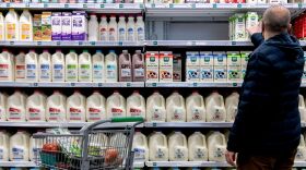 A shopper in a supermarket dairy aisle