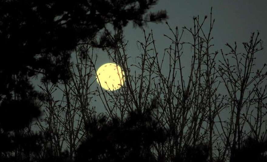 The hunter's moon will be at its brightest at midnight. Photo: Flickr Creative Commons