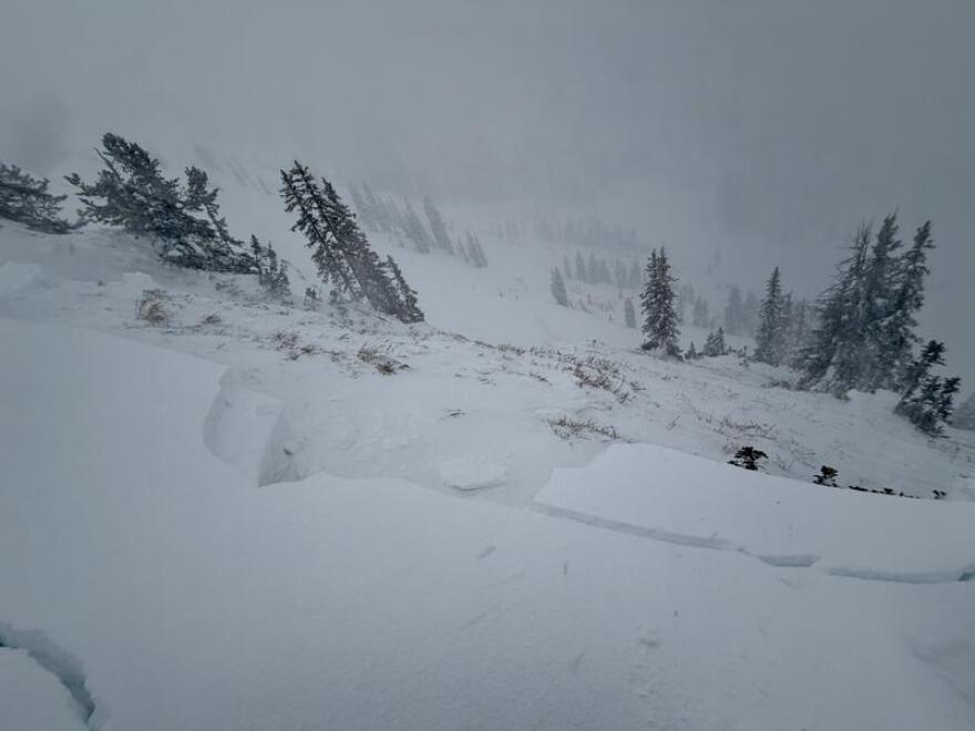 An avalanche triggered by a party on the ridgeline above Two Dogs in Days Fork on Sunday, Jan. 4, 2026. According to the Utah Avalanche Center, the avalanche initially failed above the Christmas rain crust (CERC) layer, but stepped down to facets and depth hoar at the ground. The slide was on a northeast-facing slope at 10,100 feet and was 4.5 feet deep, 250 feet wide, and ran 700 feet, snapping trees along the way.