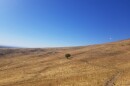 A lone tree stands beside a trail on public lands