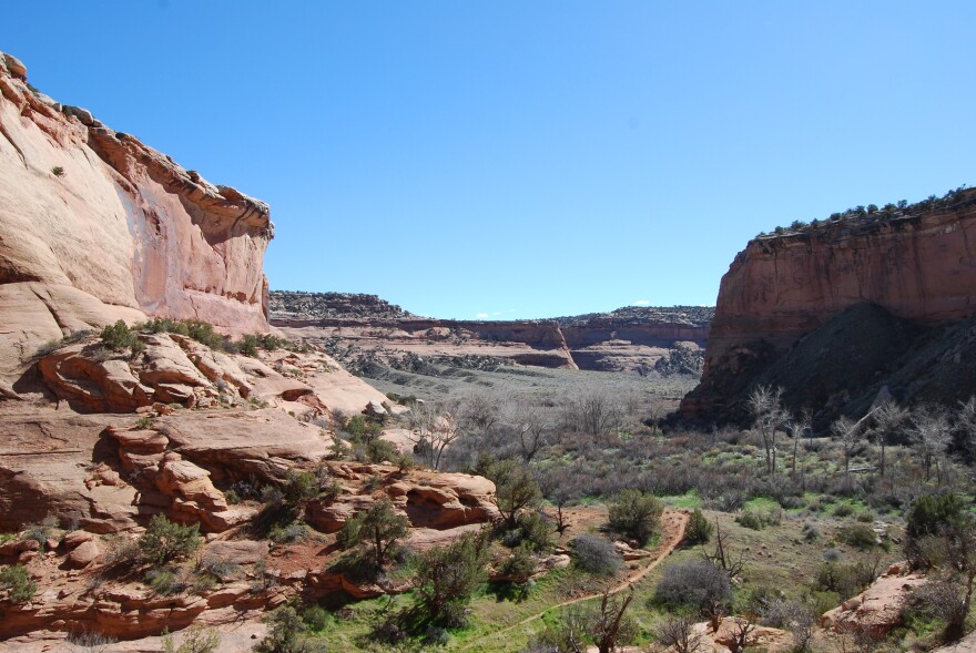 McDonald Creek Canyon is part of the McInnis Canyons National Conservation area near Grand Junction in Western Colorado.