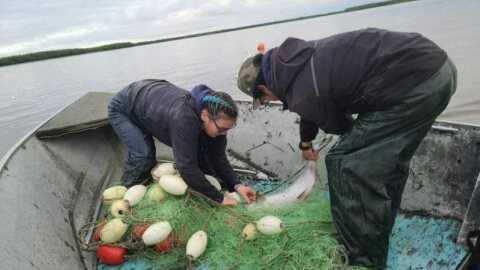 Fritz Charles’ family picks a chinook salmon from the net.