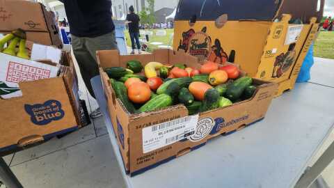 Brown boxes full of produce like tomatoes, squash and bananas 