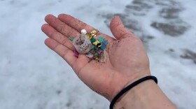 hand holding various microplastics 