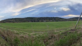 A farm in Cochecton, Sullivan County blooms