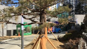 You may have heard about the weather in Pyeongchang, South Korea.