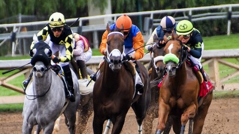 Four horses died or were euthanized at Churchill Downs in the last week. However, an equine database showed injuries dropped 37 percent in 2022.