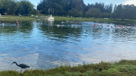 People enjoying the springs and swimming in it's waters while a bird is walking around the water's edge. 