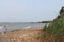 Griswold Point Preserve — Old Lyme, Conn.