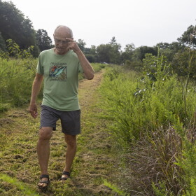 A man in glasses, a light green shirt and gray shorts walks down a path cut through tall green grasses. He's looking down and touching his head. 