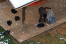 person picks up a dead bird carcass while others lay around a pavilion