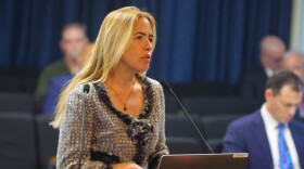 County Commissioner Raquel Reglado speaks during a meeting