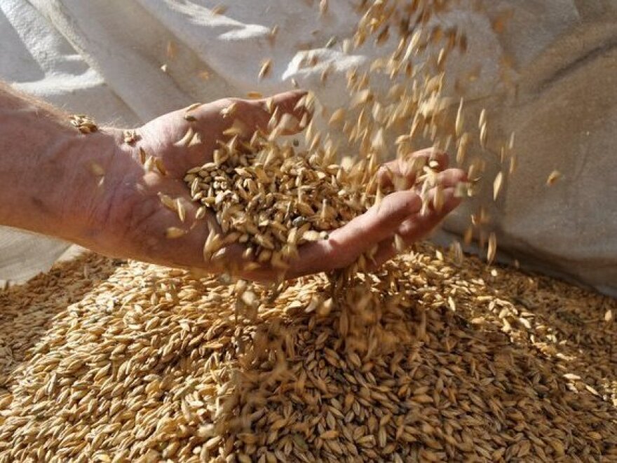 Valley Malt, in Hadley, Mass., works with 25 farmers growing six different types of grain in the Northeast.