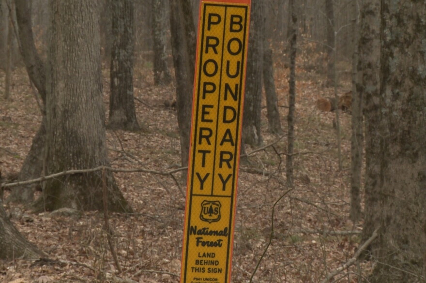 The boundary line of the Hoosier National Forest in Lawrence County, Indiana.