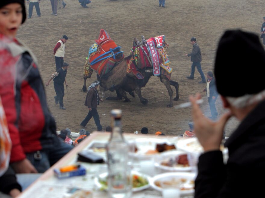 People watch wrestling camels as they enjoy a meal and the Turkish national drink <em>raki</em> during the Camel Wrestling Championship in Selcuk, on Jan. 15, 2012.