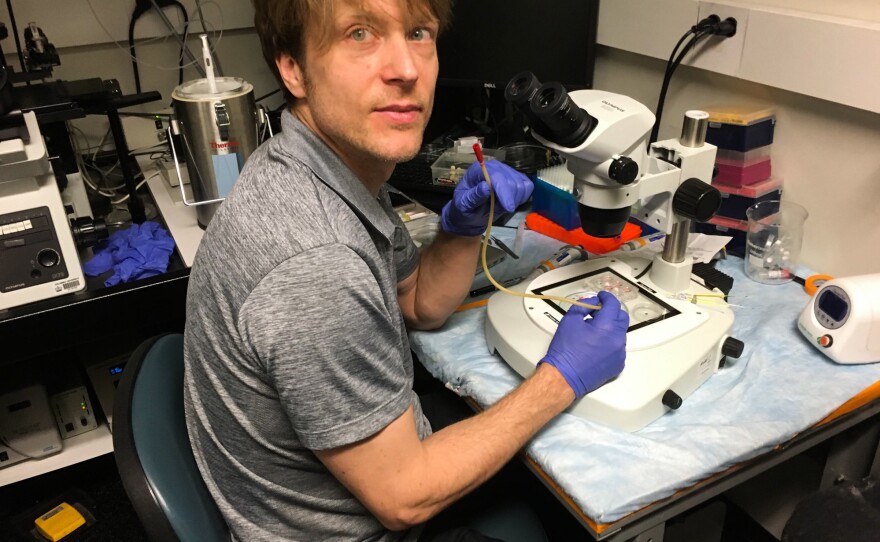 Egli is attempting to fix one of the genetic defects that cause retinitis pigmentosa, an inherited form of blindness.