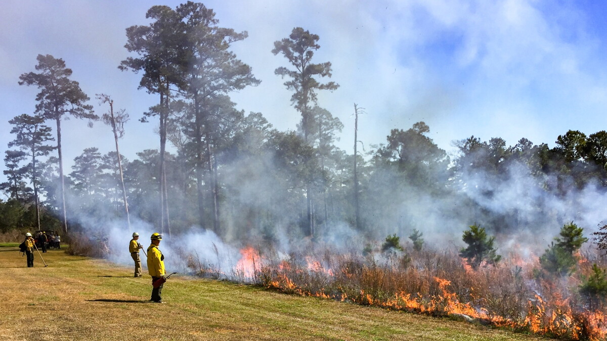 The Red Hills Fire Fest returns to Leon County this weekend - Vimarsana News