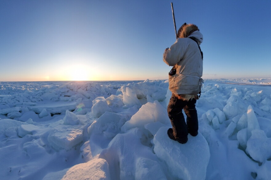 Alaska Arctic Observatory and Knowledge Hub observer Guy Omnik watches from land-fast sea ice near Point Hope, Alaska.