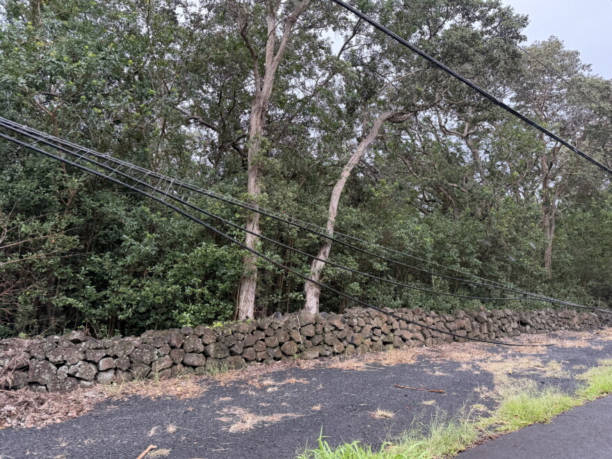 A downed power line seen on Mamalahoa Highway on Friday, Sep
