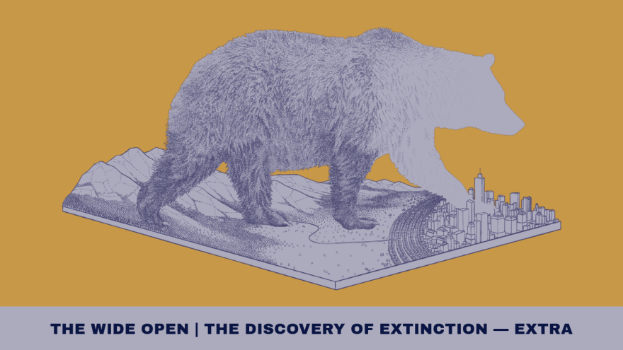 The Wide Open: The Discovery of Extinction — Extra