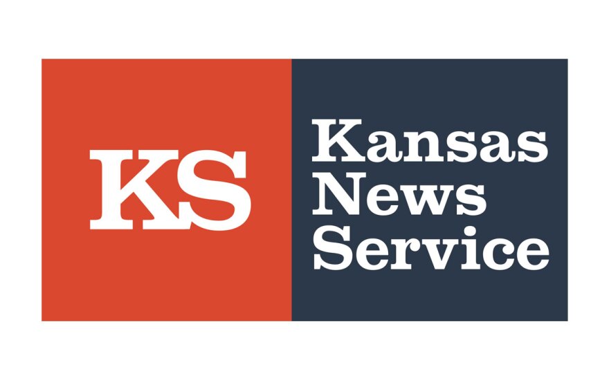 kns_logo_web.jpg