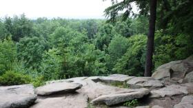 Trailblazers work in pairs to patrol trails in the park, which right now may require some extra caution as the Emerald Ash Borer defoliates trees, causing them to die and possible pose a falling hazard.