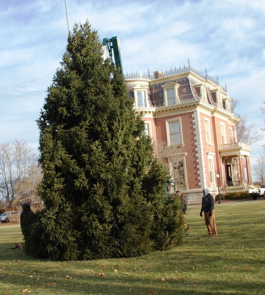 christmas_tree.jpg
