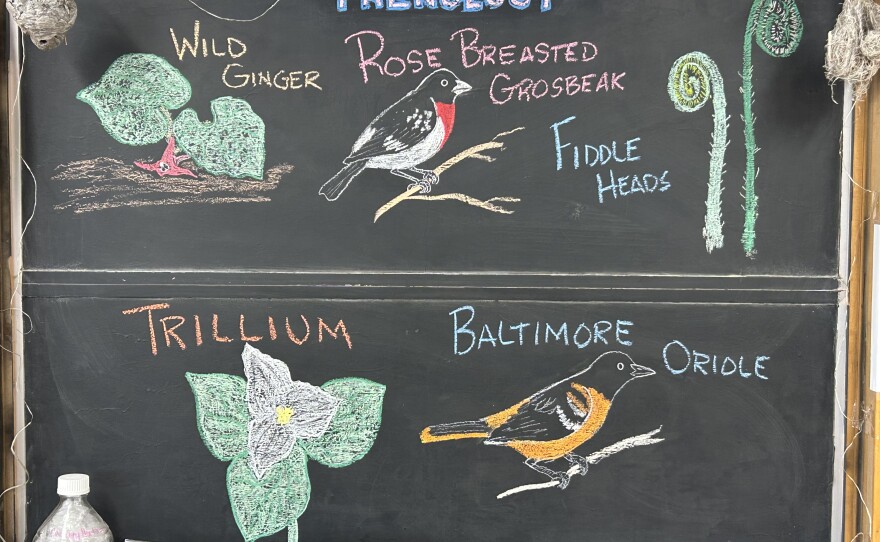 Chalk illustrations show a trillium, a Baltimore Oriole, fiddle heads, a Rose-breasted Grosbeak, and wild ginger.