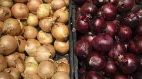 This picture shows red and yellow onions displayed in a supermarket. (Christophe Simon/AFP via Getty Images)