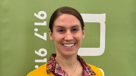 Summit County Deputy Health Director Kendra Babitz