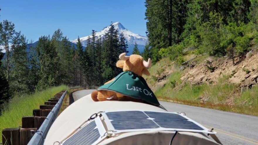 Donald Martin traveled over 2,400 miles with his wagon and steer companion named Last Ox.