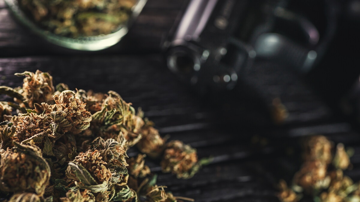 A ruling is eyed in Florida over guns and medical marijuana - Vimarsana News