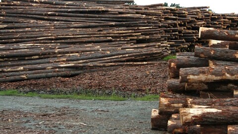 Weyerhaeuser closed its lumber and plywood mills in Columbia Falls last week.