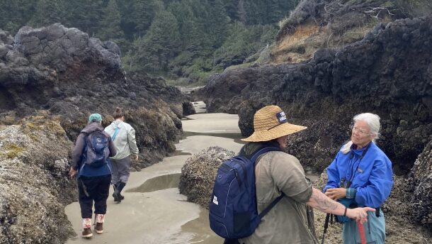 Cape Perpetua Collaborative tidepool leader Jamie Kish leads a group through an intertidal zone during a low tide. Extremely low tides beginning Sunday will reveal even more sea life in the rocky outcroppings along the central Oregon Coast.