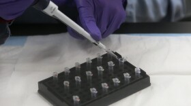In this Feb. 2012, file photo, senior criminalist Michelle Halsing works on mitochondrial DNA testing at the State of California Department of Justice Jan Bashinski DNA Laboratory in Richmond, Calif. (Jeff Chiu/AP)