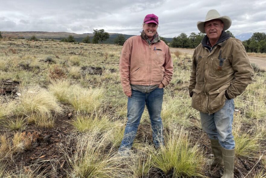 BLM rangeland specialist Kristy Wallner and rancher Pat Luark check out the grass on Luark's BLM grazing allotment on Sept. 29, 2021.