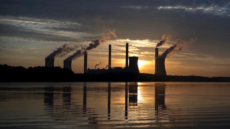 The coal-fired Plant Scherer, one of the nation's top carbon dioxide emitters, stands in the distance in Juliette, GA.