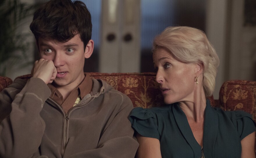Asa Butterfield and Gillian Anderson play a mother and son on the Netflix series <em>Sex Education.</em>
